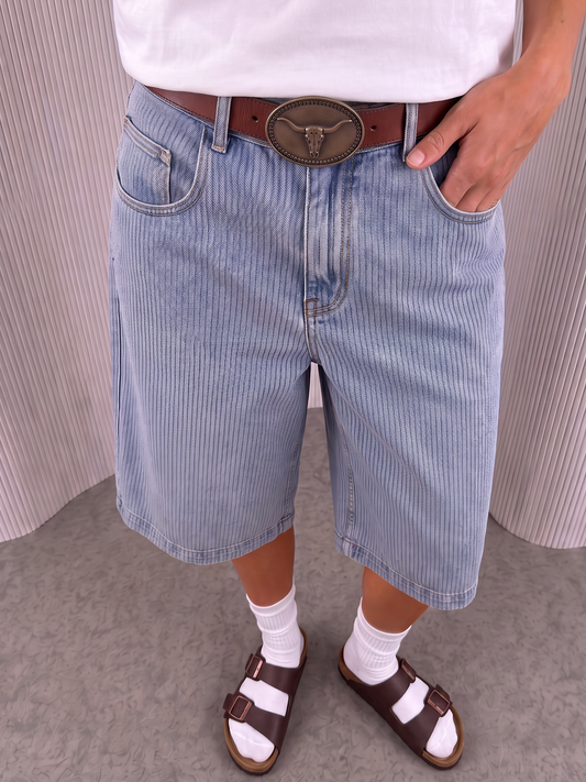 Light Blue Pinstripe Jorts